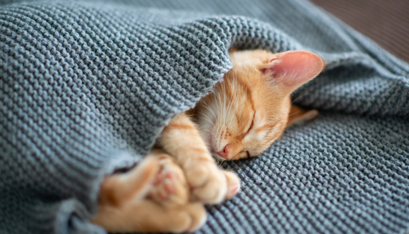 A beautiful square image floated to the left